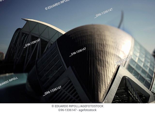 City of Arts and Sciences by Santiago Calatrava  Valencia  Spain