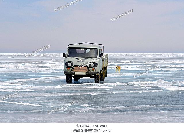 Russia, Lake Baikal, pickup truck and Siberian Husky on frozen lake