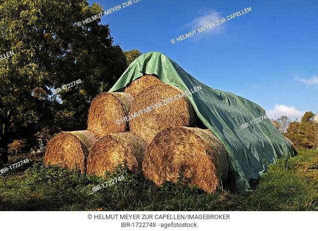 Covered pressed straw bales, Gut Otenstorf manor, Othenstorf, Mecklenburg-Western Pomerania, Germany, Europe