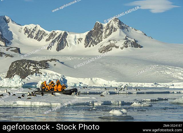 Tourists in zodiac exploring Adelie penguins on ice floes at Hope Bay (Antarctic Sound) in the Antarctic Peninsula region