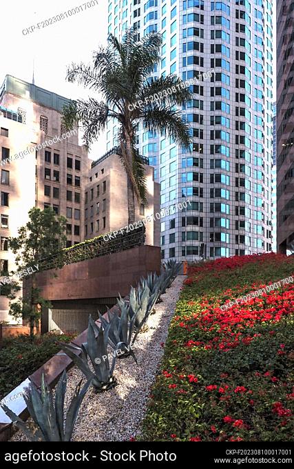 Contemporary architecture, skyscrapers, palm trees and flower beds collide in a public space in Los Angeles, California (CTK Photo/Pavel Vesely)