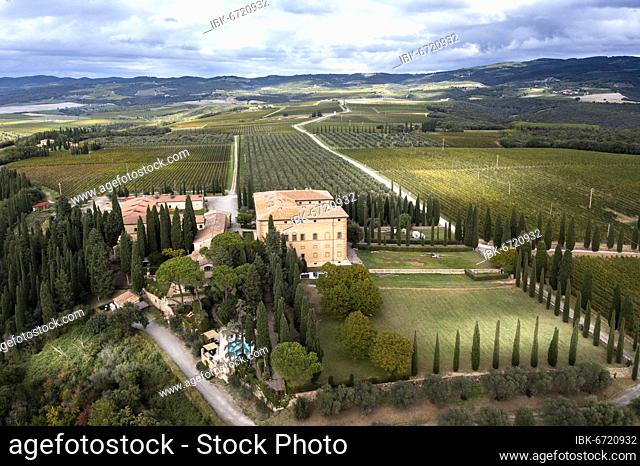Aerial view, Antico Brunello estate, with olive trees and cypresses, Argiano, Sant'Angelo In Colle, province of Siena, Tuscany, Italy, Europe