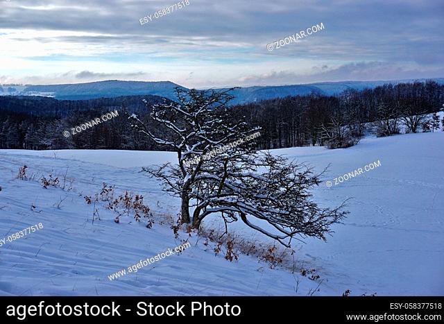 Winterlandschaft auf dem Filsenberg, Schwäbische Alb, winter landscape on the swabian alps