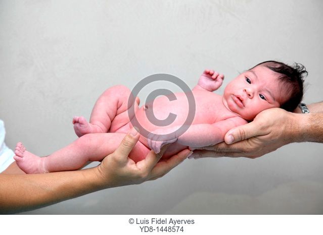 Baby neonates supported by the hands of their parents