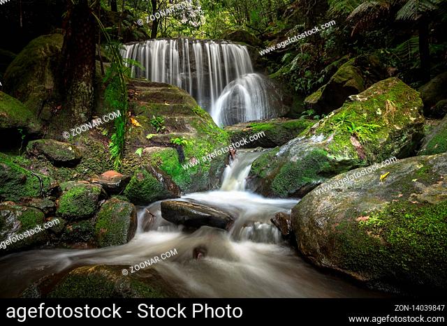 A hike to a spectacular flowing waterfall through the Blue Mountains at Leura