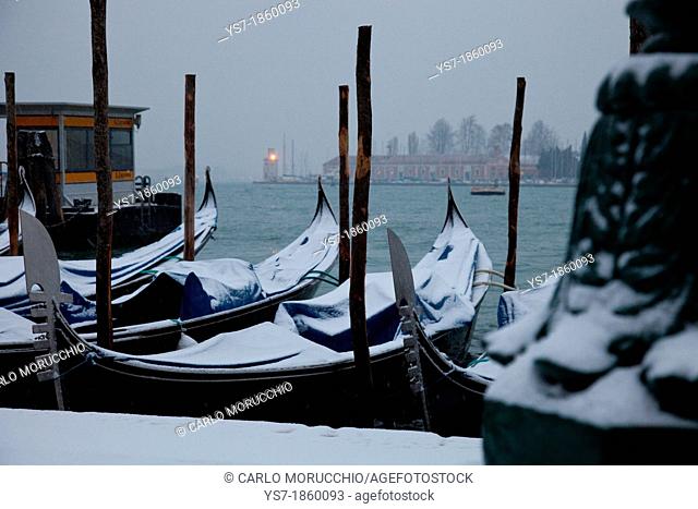 Moored gondolas covered with snow, St  Mark's basin, Venice, Italy, Europe