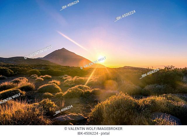 Sunset, Volcano Teide and volcano landscape, backlit scenery, national park El Teide, Tenerife, Canary Islands, Spain