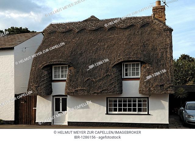 Old thatched house, High Street, Hemingford Gray, Cambridgeshire, England, United Kingdom, Europe