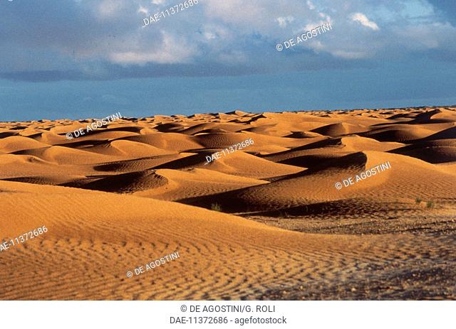 Sand dunes, last offshoot of the Grand Erg Oriental, Sahara Desert, Gabes Governorate, Tunisia