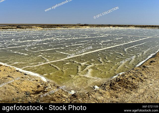 Brine in a salt evaporation pond of a salt works, commercial salt production on the Assale salt lake near Hamadela, Danakil Depression, Afar Region, Ethiopia