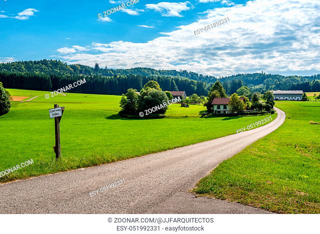 Scenic view of green valley and road in the austrian alps a blue sky day with white clouds