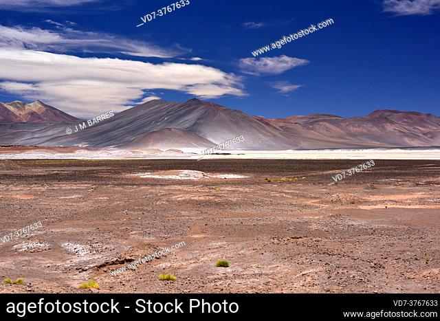 Laguna y Salar de Talar. Salar de Atacama, Antofagasta, Chile