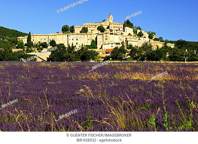 The mediaeval village of Banon on a hill above blooming lavender fields in the heart of Provence, France, Europe