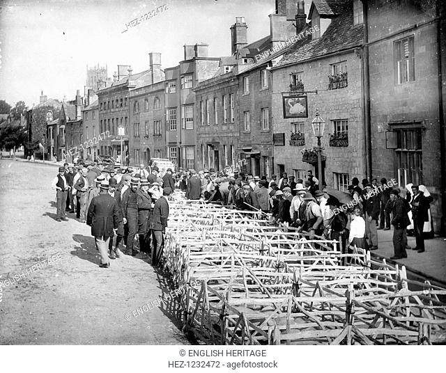 High Street, Chipping Campden, Gloucestershire, 1896. Looking down the street during the Pig Market outside the Swan Inn with a crowd gathered around the pig...