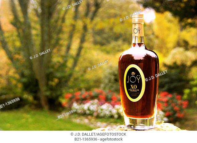 Bottle of the famed XO Premium Armagnac, Domaine de Joÿ wines and armagnac estate, at Panjas, Gers, Midi-Pyrenees, France