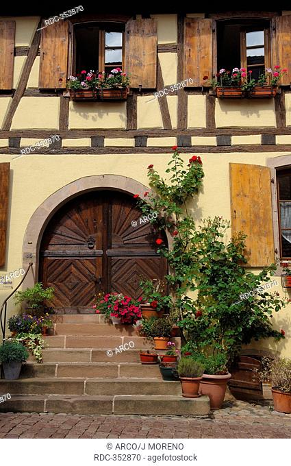 Eguisheim, Alsace Wine Route, Haut-Rhin, Alsace, France / Route des Vins d'Alsace