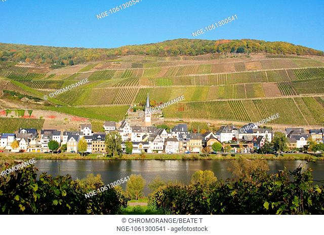 Zell-Merl on the Moselle in autumn