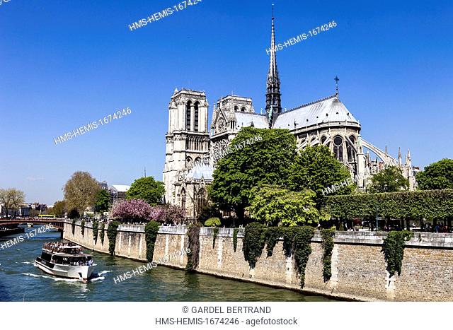 France, Paris, area listed as World Heritage by UNESCO, a riverboat passes in front of Notre Dame de Paris, on Ile de la Cite