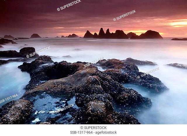 Rock formations on the beach, Seal Rock Beach, Oregon Coast, Oregon, USA
