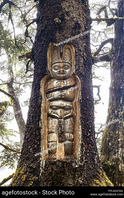 Traditional living tree totem carving on Mount Roberts Trail - Juneau, Alaska, USA