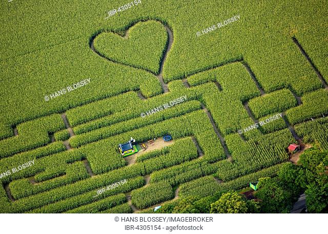 Labyrinth with a heart in the cornfield, corn maze, green heart, heart shape, heart shaped, Herten, Ruhr district, North Rhine-Westphalia, Germany