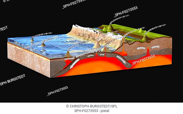 Cross-section showing subduction and plate tectonics, illustration