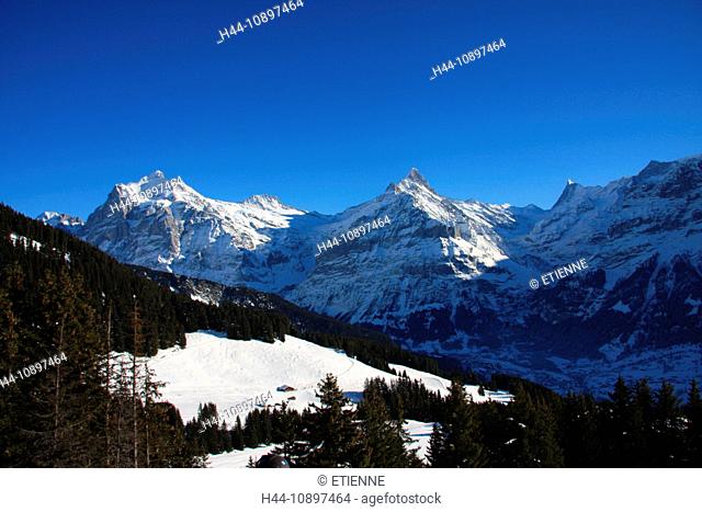Switzerland, Europe, Bernese Oberland, canton Bern, Grindelwald, Bussalp. alpine, winter, Wetterhorn, Schreckhorn, mountains