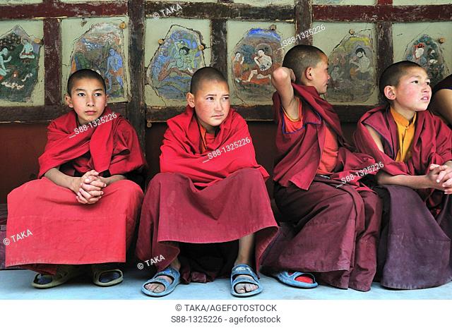 Young buddhist monks at Hemis Gompa. Jammu and Kashmir, India