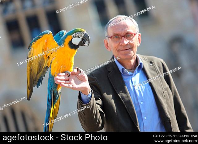 25 March 2022, Saxony-Anhalt, Halberstadt: With his parrot Amadeus, Michael Bussenius is on the marketplace in Halberstadt. The zoo inspector (ret