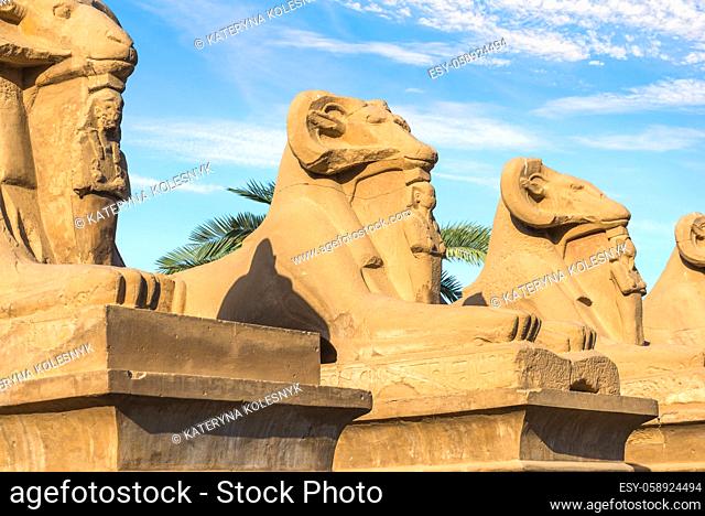 Sphinxes in Karnak Temple under morning clouds, Luxor