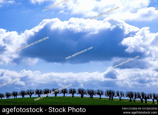 06 April 2021, Mecklenburg-Western Pomerania, Klütz: Dark clouds drift over the approximately 300-metre-long linden avenue in front of Bothmer Castle