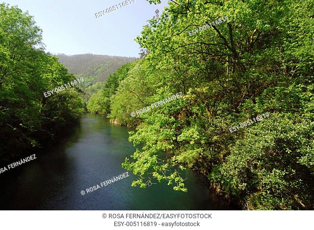 Eume river and Fragas riparian forest Natural Park, A Coruña, Galicia, Spain