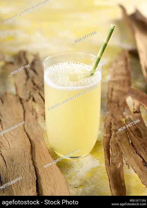 limonada de jengibre / ginger lemonade