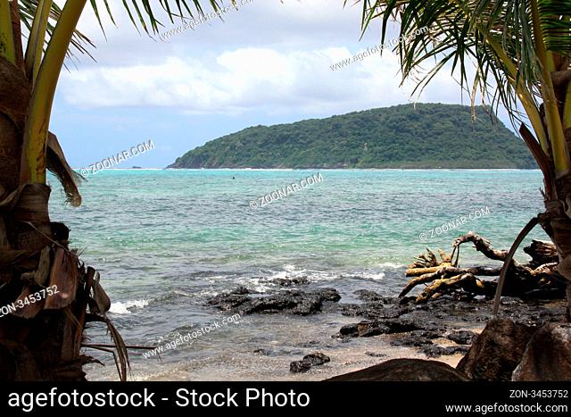 Palm trees, coast and small island in Upolu, Samoa