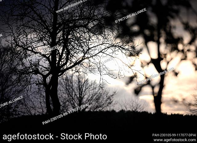 05 January 2023, Lower Saxony, Seevetal: Dark silhouettes of several trees stand out against a cloudy sky with setting sun. Photo: Jonas Walzberg/dpa