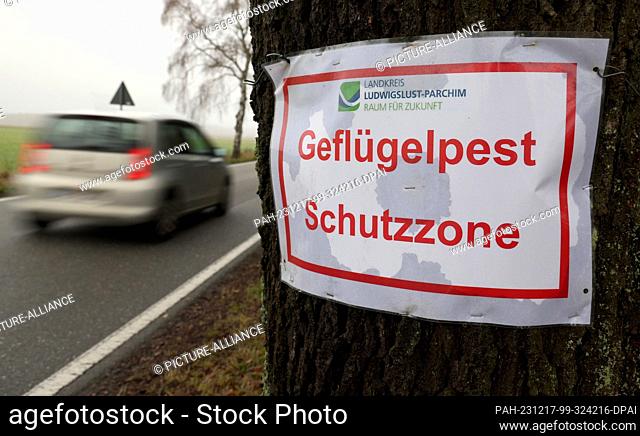 PRODUCTION - 15 December 2023, Mecklenburg-Western Pomerania, Riems: Near a turkey fattening farm in the municipality of Lewitzrand