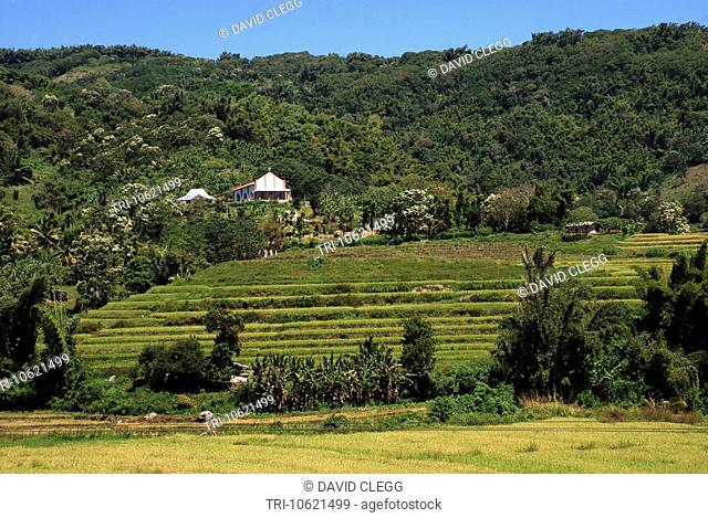 Catholic church stands on hillside overlooking rice terraces with forested hills blue sky and white clouds in background banana plants bushes and grass in...