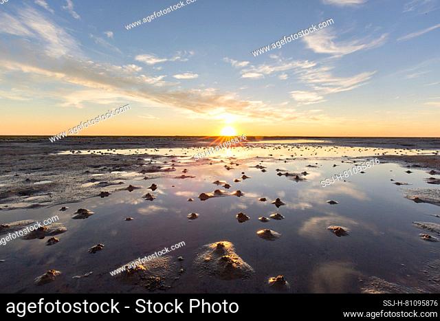 Sunset over the mudflats. Wadden Sea National Park, North Frisia, Schleswig-Holstein, Germany