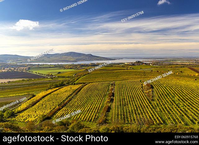Vineyards under Palava, Southern Moravia, Czech Republic