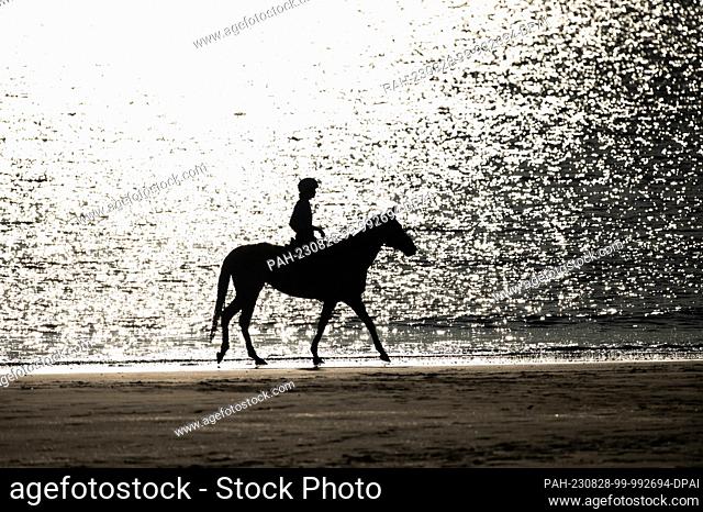 SYMBOL - 22 August 2023, France, Plage Des Phoques: A woman rides her horse on the shore of a beach and is silhouetted. Photo: Silas Stein/dpa