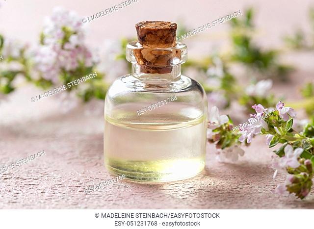 A bottle of essential oil with blooming thyme twigs on a pink background