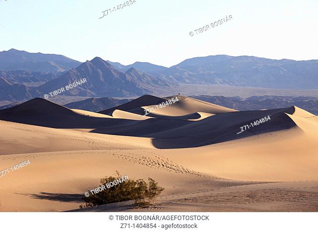 USA, California, Death Valley, National Park, Mesquite Flat, sand dunes
