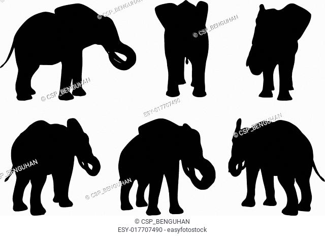 Set of editable vector silhouettes of African elephants in eat poses