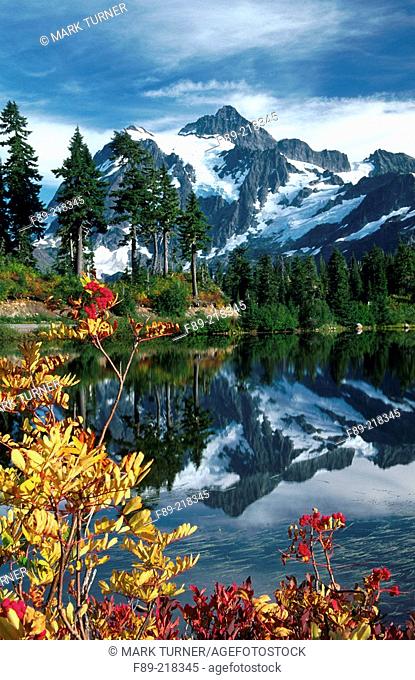 Mount Shuksan reflected in Picture Lake with Sitka Mountain Ash (Sorbus sitchensis). Mount Baker-Snoqualmie National Forest. Washington. USA