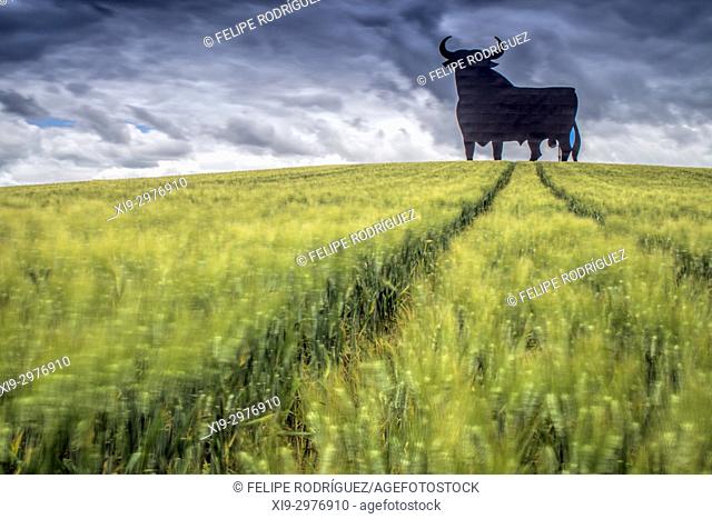 Osborne bull on a wheat field, long exposure shot, Castilleja del Campo, Seville, Spain. The Osborne bull is a 14-metre (46 ft) high black silhouetted image of...