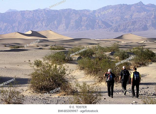 wanderers in the sand dunes in front of looming rock wall, USA, California, Death-Valley-Nationalpark, Stovepipe Wells