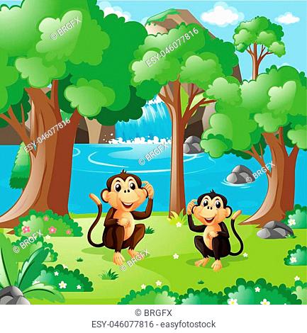 Monkey jungle cartoon Stock Photos and Images | agefotostock