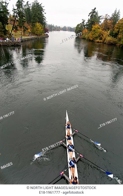 Canada, BC, Victoria. Gorge waterway. An eight person rowing shell in the Head of the Gorge rowing regatta