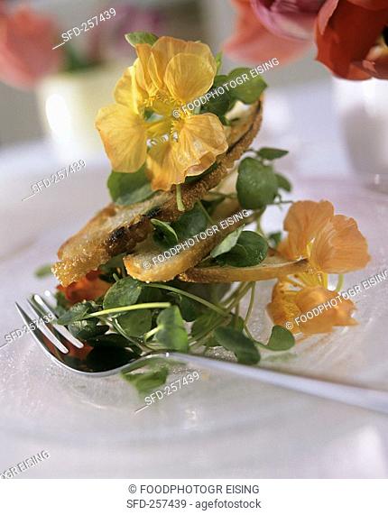 Watercress salad with white bread