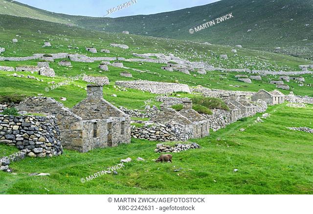 The islands of St Kilda archipelago in Scotland. Island of Hirta with village bay and the settelment abondoned 1930. It is one of the few places worldwide to...
